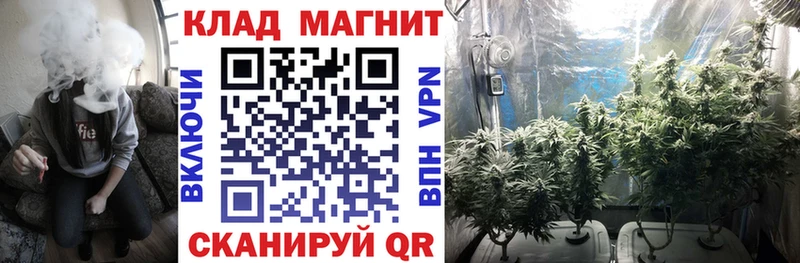 Где можно купить наркотики Вязники Гашиш Cocaine mega онион МАРИХУАНА Меф