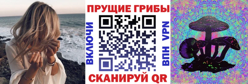 Псилоцибиновые грибы Psilocybe Вязники