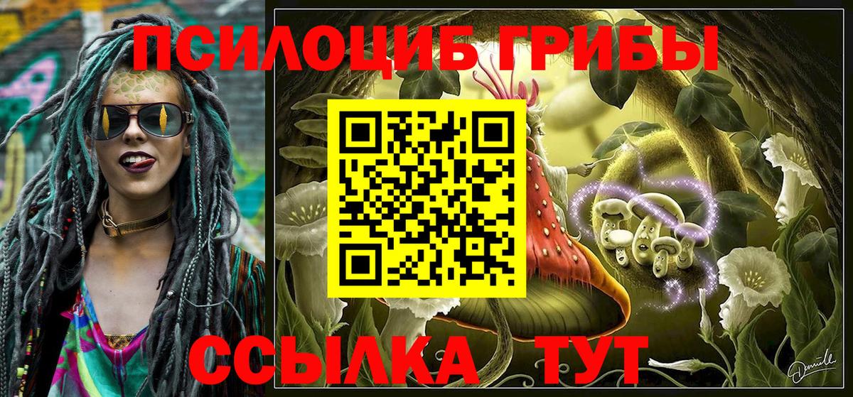 Псилоцибиновые грибы GOLDEN TEACHER  Вход с VPN  Вязники 